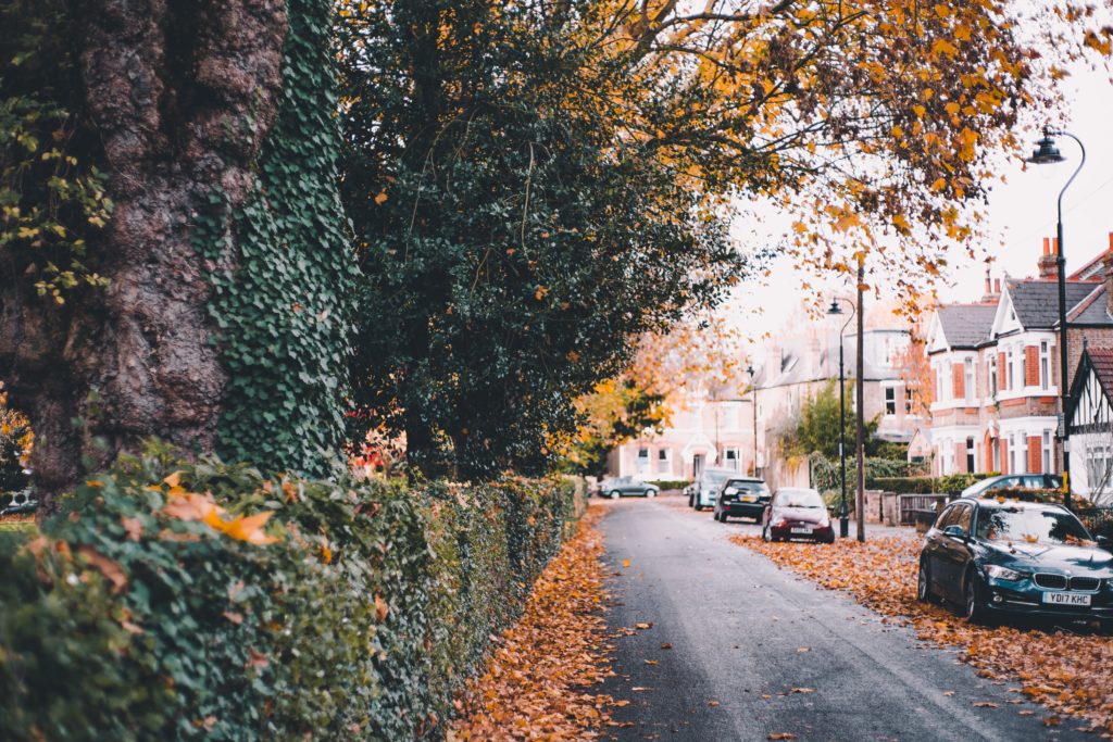 A quiet, leafy street of old-fashioned houses. It's autumn and there are brown leaves on the ground.